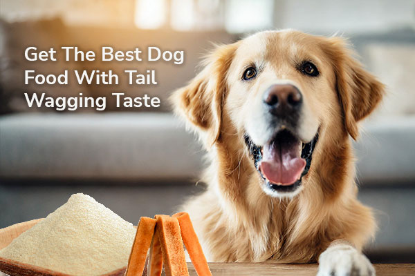 Get the best dog food with tail wagging taste